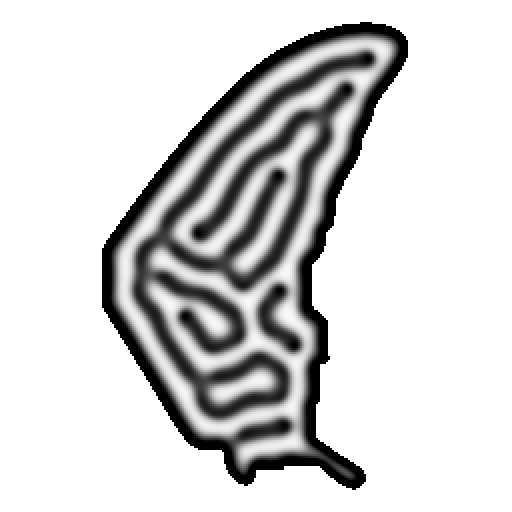 Wing-confined Turing pattern