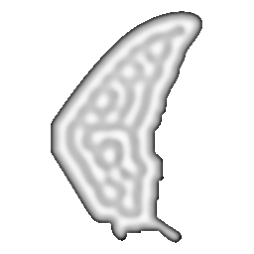 Gamma: branching stripes